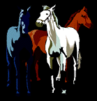 horses.gif (7405 bytes)